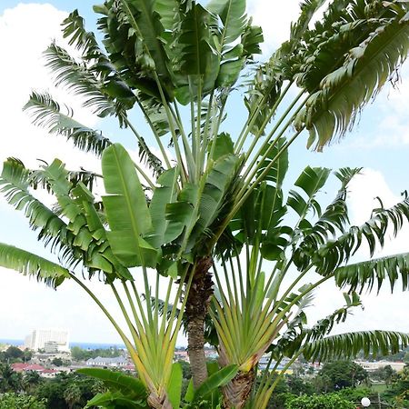 The View At Mystic Ridge Penthouse 78A Apartment Ocho Rios Exterior photo