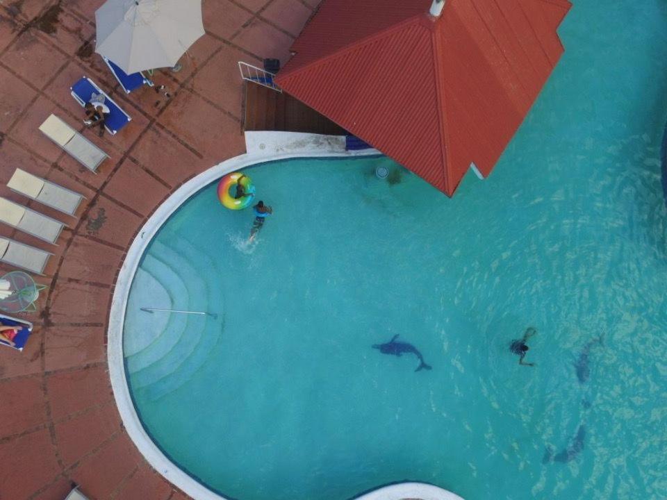 The View At Mystic Ridge Penthouse 78A Apartment Ocho Rios Exterior photo